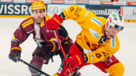 gshc vs sclt