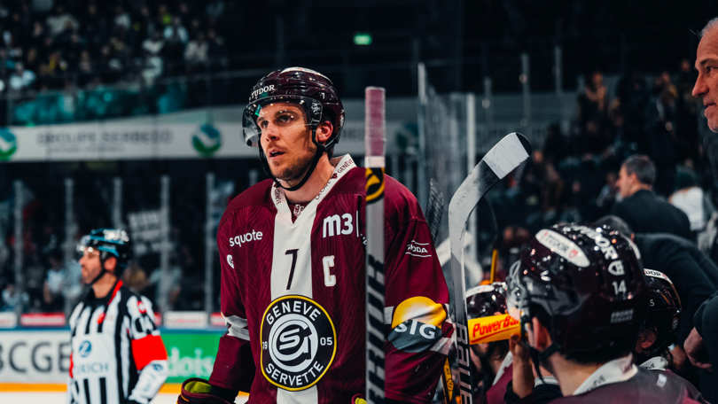 gshc vs zsc