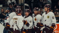 GSHC vs VHK