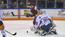 GSHC - Bienne