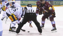 l’arbitre-assistant engage entre KOVAR (EVZ) et JOORIS (GS) qui regarde ailleurs     19.11.2021 , Genève-Servette - Zoug  GS-EVZ photo Eric Lafargue