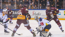 GSHC - Bienne