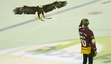 GSHC - Rapperswil Lakers