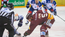 GSHC - ZSC Lions