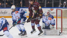 GSHC - ZSC Lions