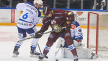 GSHC - ZSC Lions