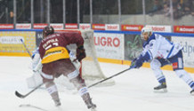 GSHC - ZSC Lions