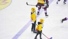 GSHC - ZSC Lions
