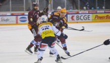 GSHC - Ambri