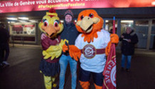 GSHC - Ambri