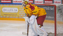 GSHC - Langnau