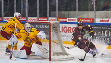 GSHC - Langnau