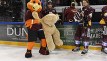 CALVIN , la mascotte avec une peluche  - VERMIN - VATANEN (GS) 22.1.2022 , Genève-Servette - Bienne  GS-BI  photo Eric Lafargue