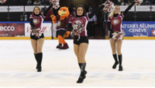 CHEERLEADERS (GS) 
22.1.2022 , Genève-Servette - Bienne  GS-BI  
photo Eric Lafargue