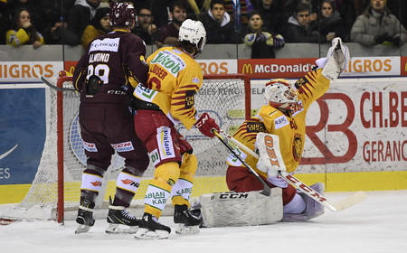 NL : GSHC vs SCL Tigers