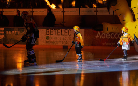 SCL Tigers - Photos du public