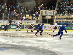 HCD vs GSHC