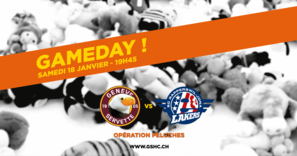 GSHC SCRJ Peluches