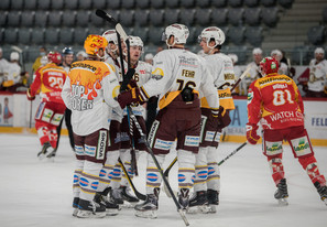 EHCB GSHC 